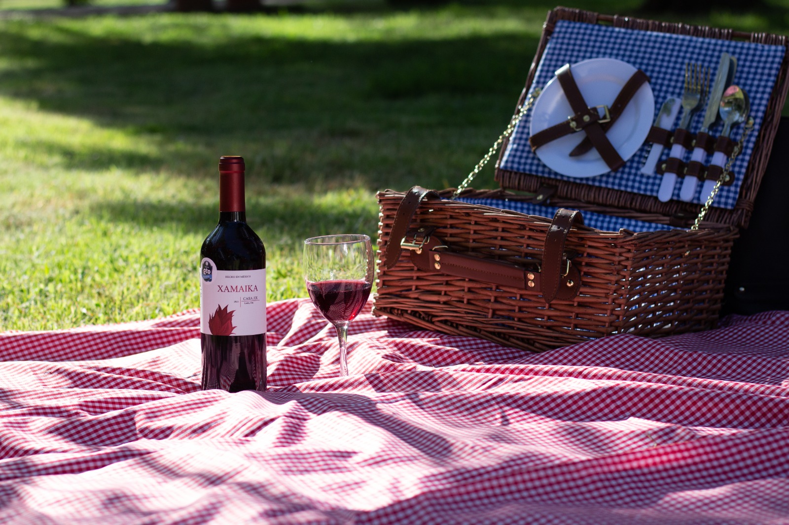 Fotografía panoramica de un picnic con una botella de Xamaika